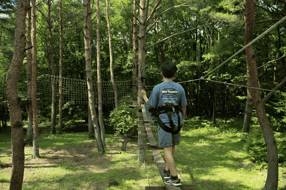 安全ベルトをして森の中をアスレチックで遊ぶ男の子