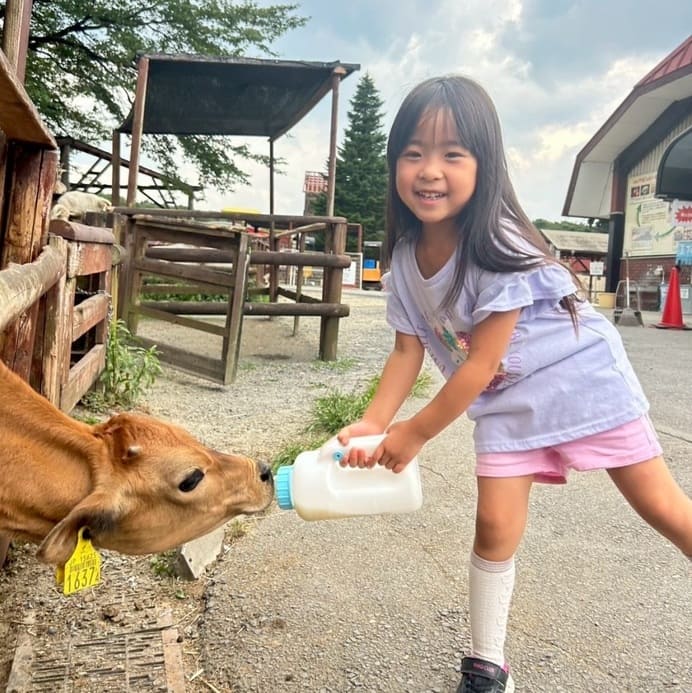 茶の小牛にミルクをあげる少女の写真