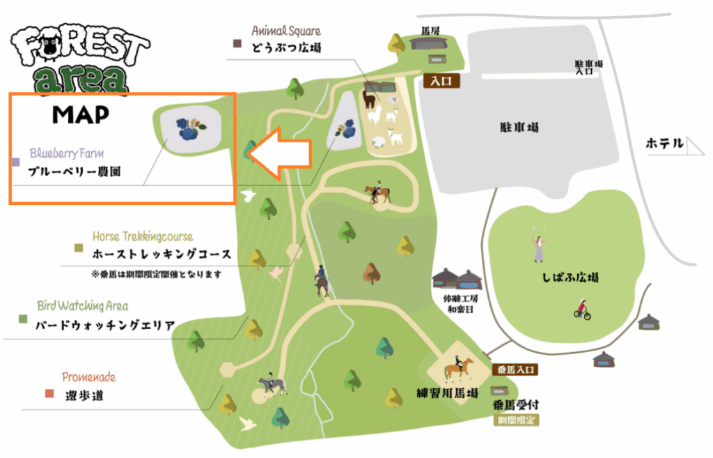 ホテル敷地内マップのイラスト