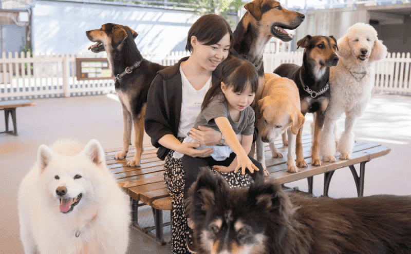 たくさんの犬に囲まれて座るママと少女の写真