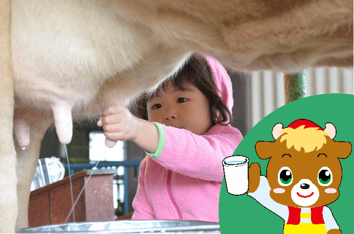 牛の乳搾りをしている幼い少女の写真
