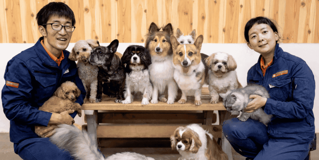 小型犬が並んで写真撮影している写真