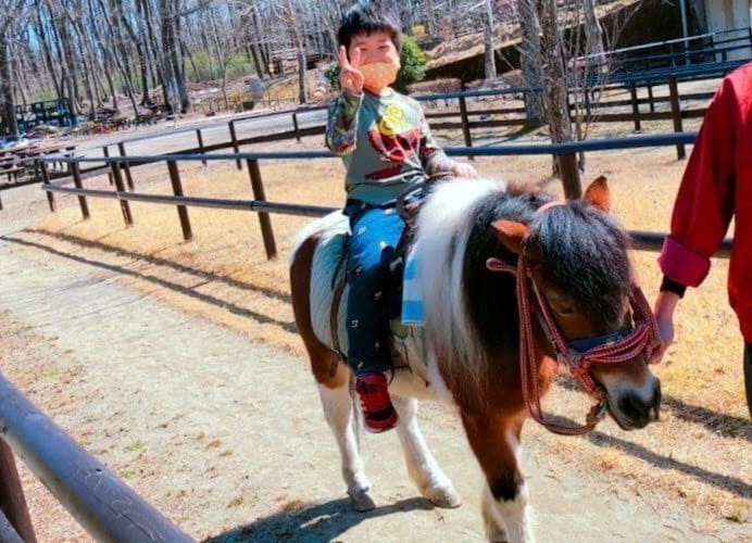 ポニーに乗馬している男の子の写真