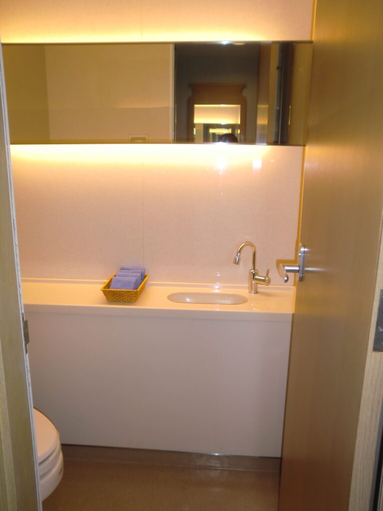 ホテル ヘリテイジ飯能の客室プリンセス内にあるトイレの手洗い場の写真