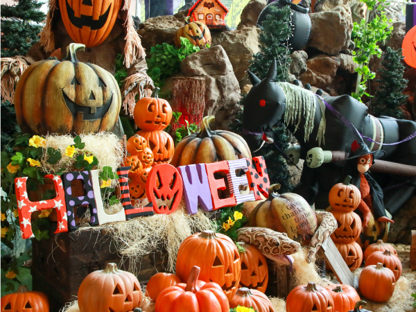 エンゼルグランディア越後中里 ハロウィーン装飾の写真