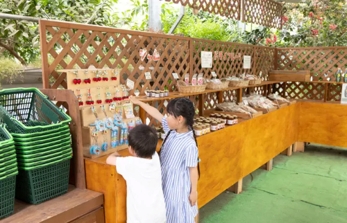 白根グレープガーデンの販売所に女の子が２人商品を選んでいる写真