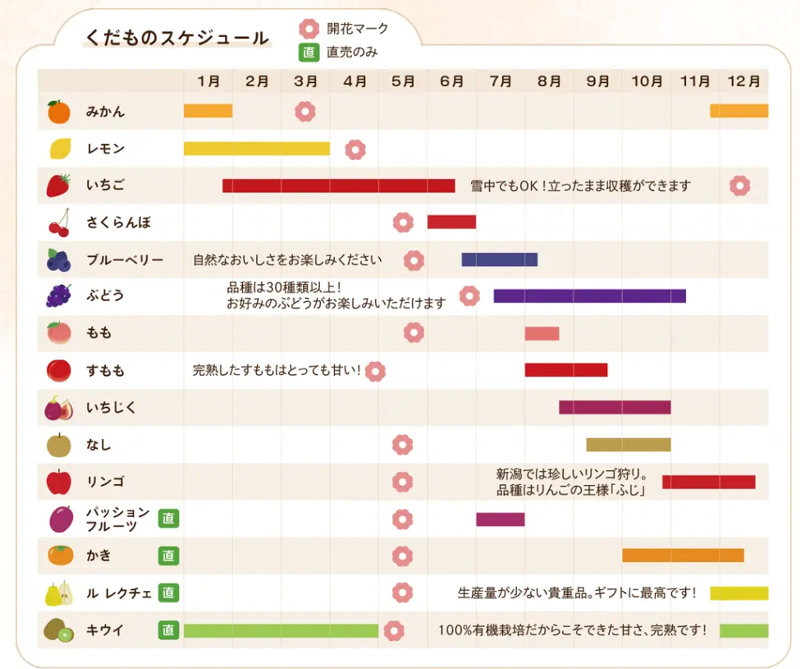 白根グレープガーデンのくだものスケジュール表のイラスト