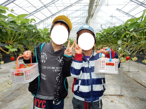 白根グレープガーデンでいちご狩りを終えた男の子２人がいちごの入ったカゴを手に記念撮影している写真