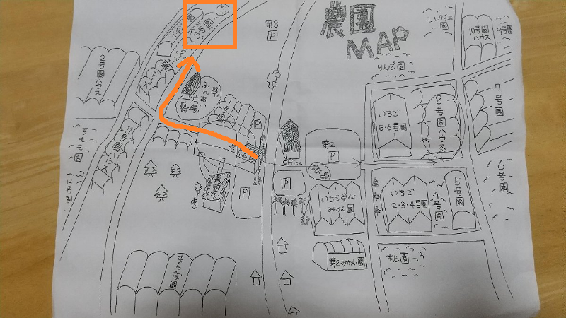 白根グレープガーデンの梨狩り手書きマップ