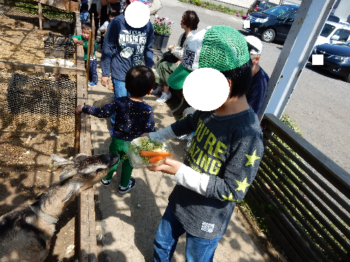 白根グレープガーデンのやぎにえさやりする男の子の写真