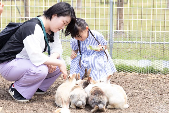 白根グレープガーデンのふれあい広場にいるうさぎの写真