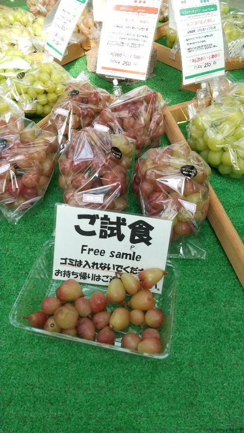 白根グレープガーデンの販売所にあるぶどうの試食を撮影した写真