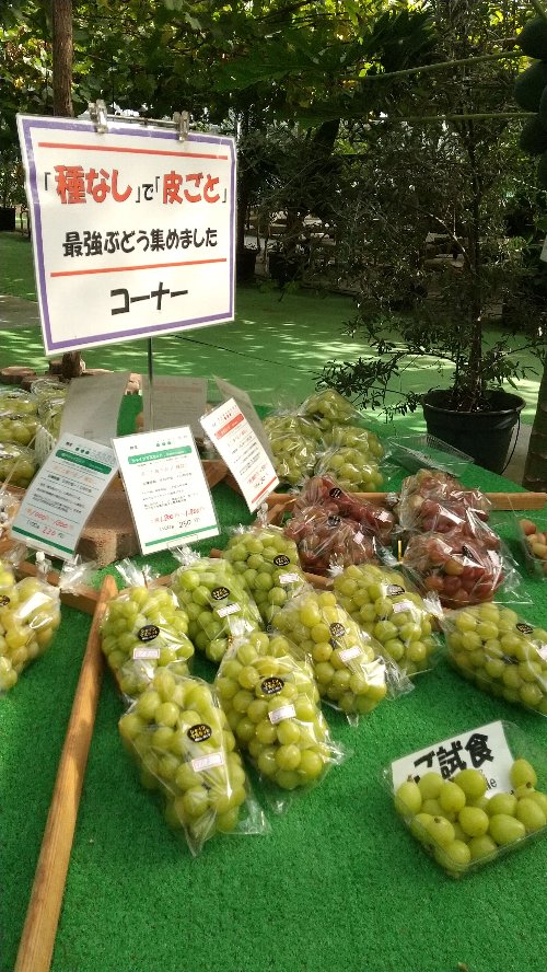 白根グレープガーデンの販売所にあるぶどうコーナーの写真