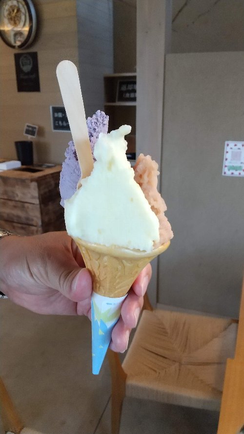 白根グレープガーデンのジェラートトリプルの写真例