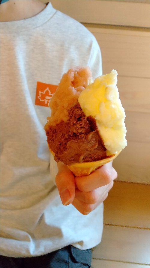 白根グレープガーデンのジェラートトリプルの写真例