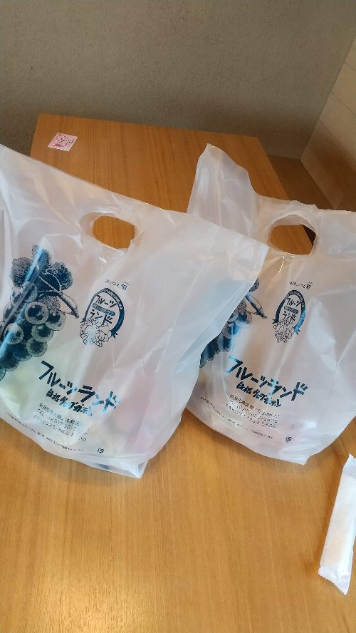 白根グレープガーデンのぶどう狩りで収穫したぶどうを袋詰めした写真