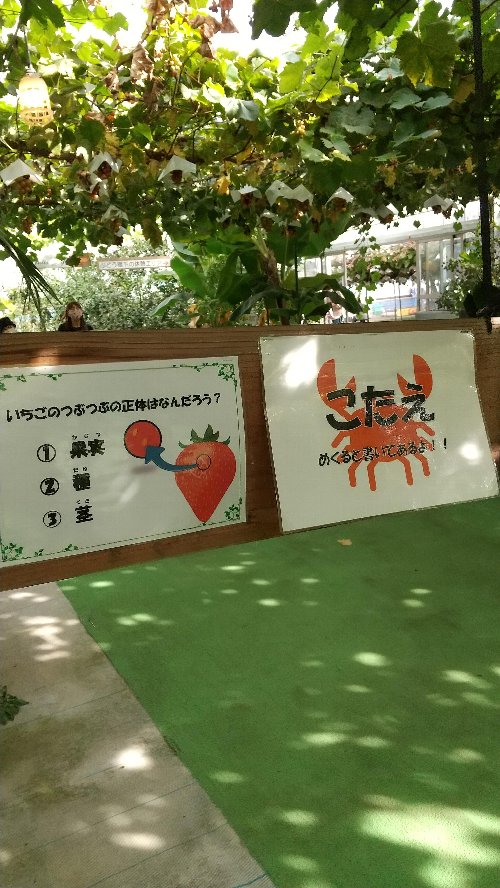 白根グレープガーデンの園内にある動物クイズの写真