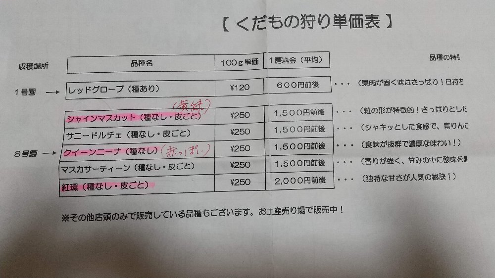 白根グレープガーデンの果物狩り単価表