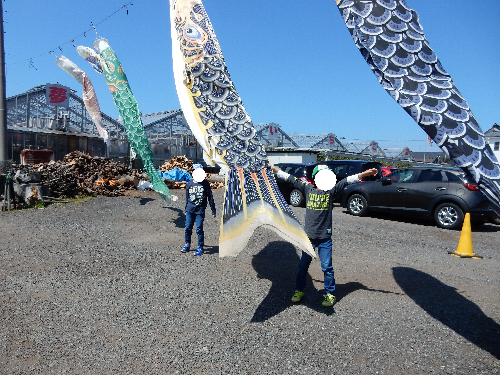 白根グレープガーデンの駐車場にぶら下がっている巨大鯉のぼりの尻尾をつかむ男の子２人の写真