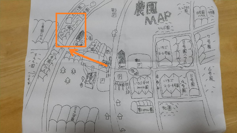 白根グレープガーデンのブルーベリー狩りマップ