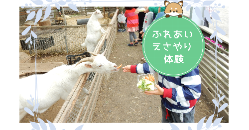 白根グレープガーデンでやぎにえさやりする男の子の写真