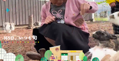 白根グレープガーデンのふれあい広場でうさぎとふれあう女の子の写真