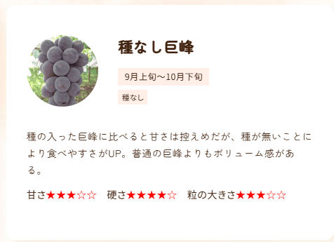 白根グレープガーデンのぶどう狩り品種の１つ種なし巨峰についての説明文