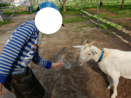 白根グレープガーデンのやぎにえさのなくなった空の容器を見せる男の子の写真
