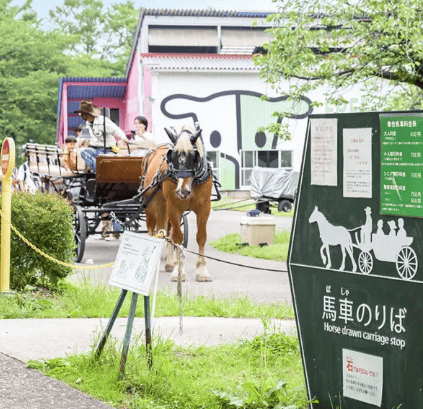 伊香保グリーン牧場　馬車のりばの看板の写真