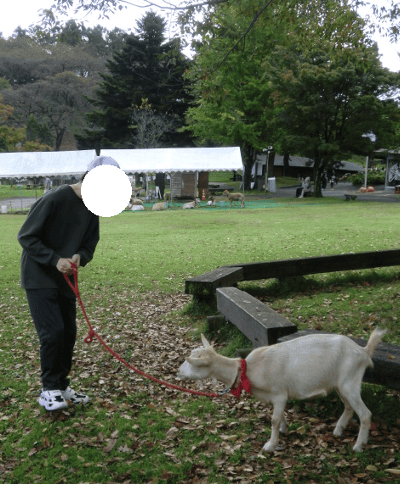 伊香保グリーン牧場　ヤギの散歩をする男の子の写真