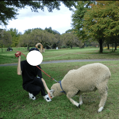 伊香保グリーン牧場　羊にしゃがんでえさやりする男の子の写真