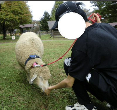 伊香保グリーン牧場　羊にしゃがんでえさやりする男の子の写真