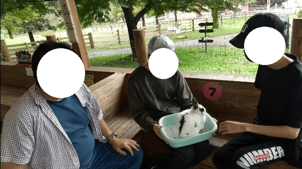 伊香保グリーン牧場　うさぎハウス内で、カゴに乗ったうさぎを見ている男の子２人とお父さんの写真