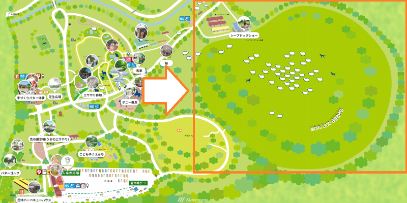 伊香保グリーン牧場　シープドッグ（牧羊犬）ショー　場所ＭＡＰ
