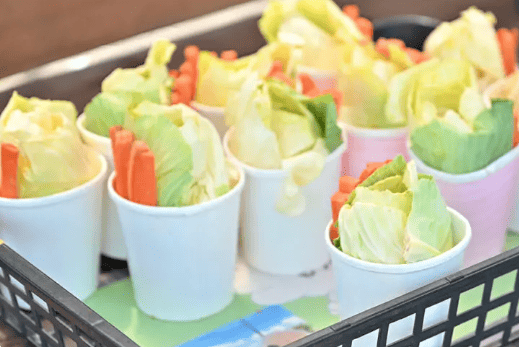 伊香保グリーン牧場　えさやり体験で使用する紙コップに入った新鮮野菜の写真