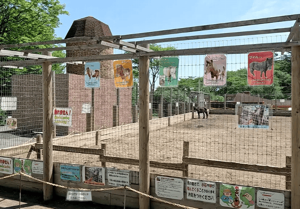 伊香保グリーン牧場　馬の展示場の外観写真