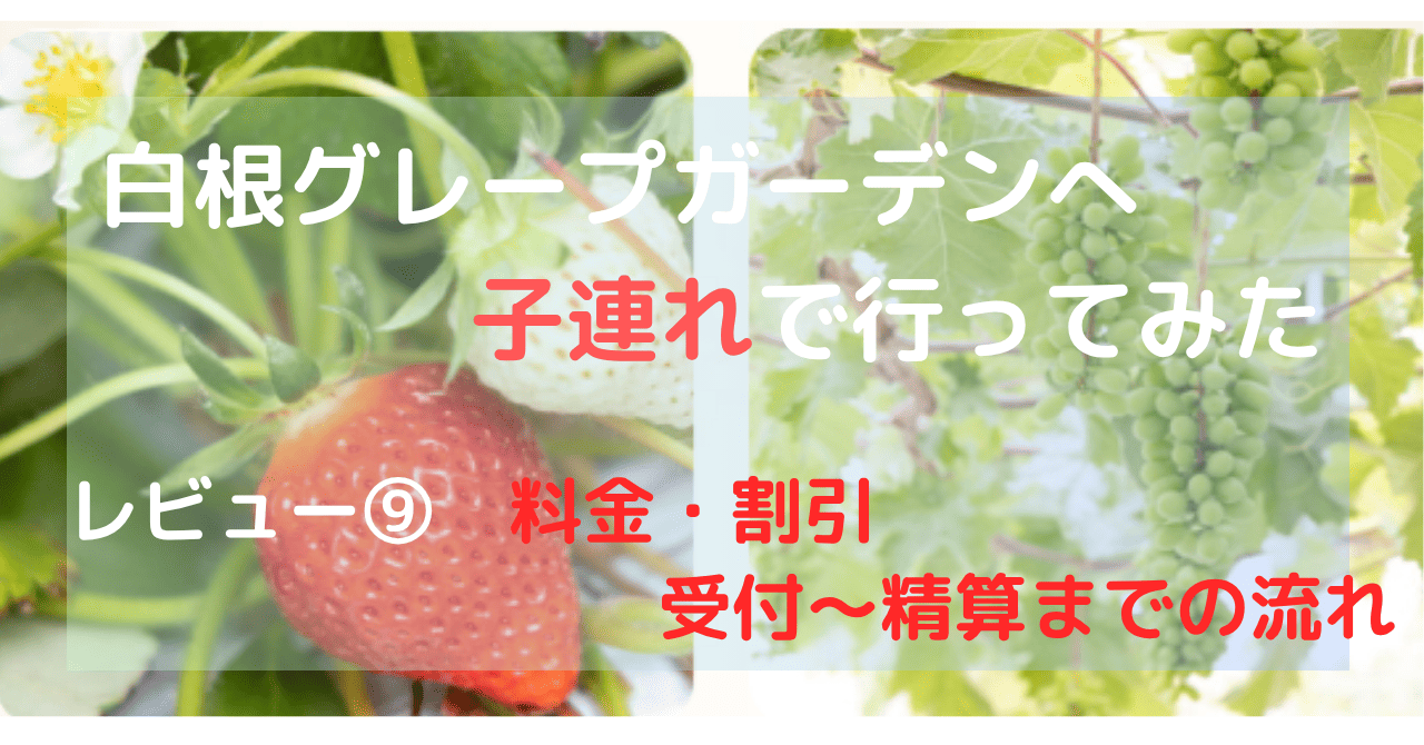 白根グレープガーデン　費用　割引　受付　精算記事のアイキャッチ画像　いちごとぶどうの写真